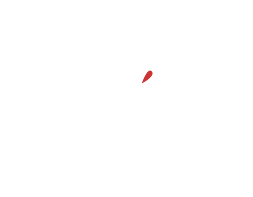 株式会社フライク